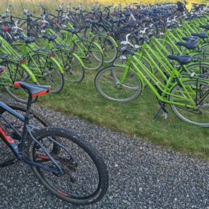 Udlejningscykler Cykeludlejning Svendborg Bike Island